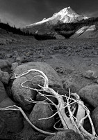 Bone Dry.  Mt Hood from White River