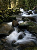Oneonta Creek